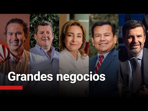 100 Empresas │ Grandes negocios