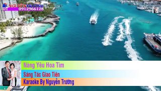 Karaoke HD Nàng Yêu Hoa Tím Ân Thiên Vỹ