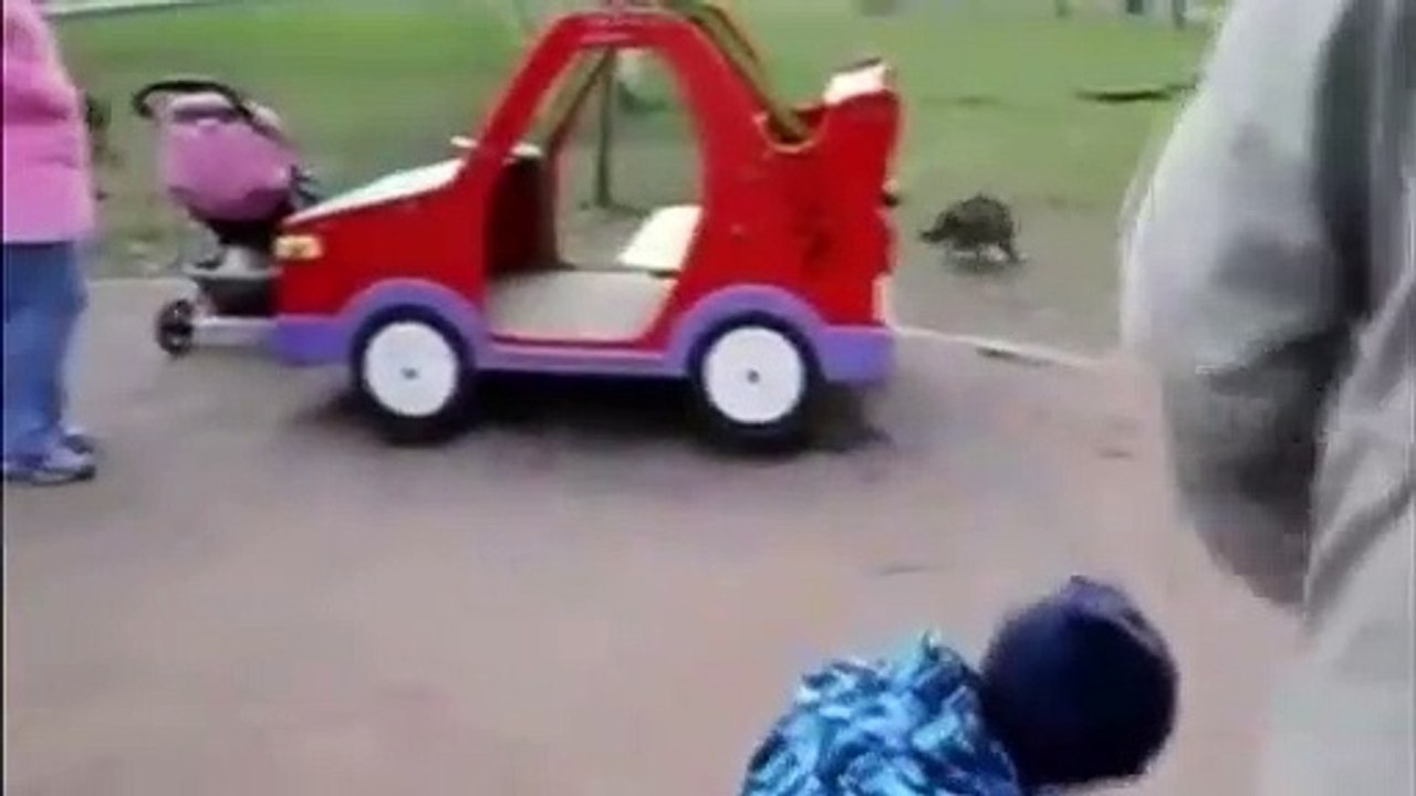 Angry Cats VS Dogs - Funny Compilation