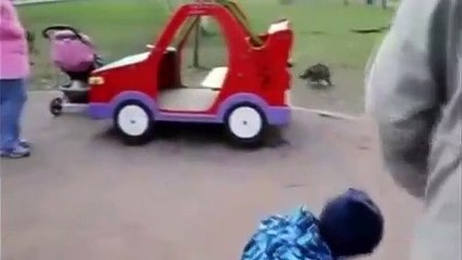 Angry Cats VS Dogs - Funny Compilation