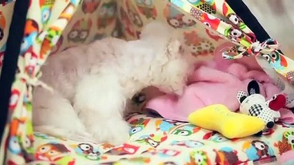 기흥구출장안마 -후불100%ョO7OW7301W9649｛카톡LA25｝ 기흥구전지역출장안마 기흥구오피걸 기흥구출장마사지 기흥구안마 기흥구출장마사지 기흥구콜걸샵ийк