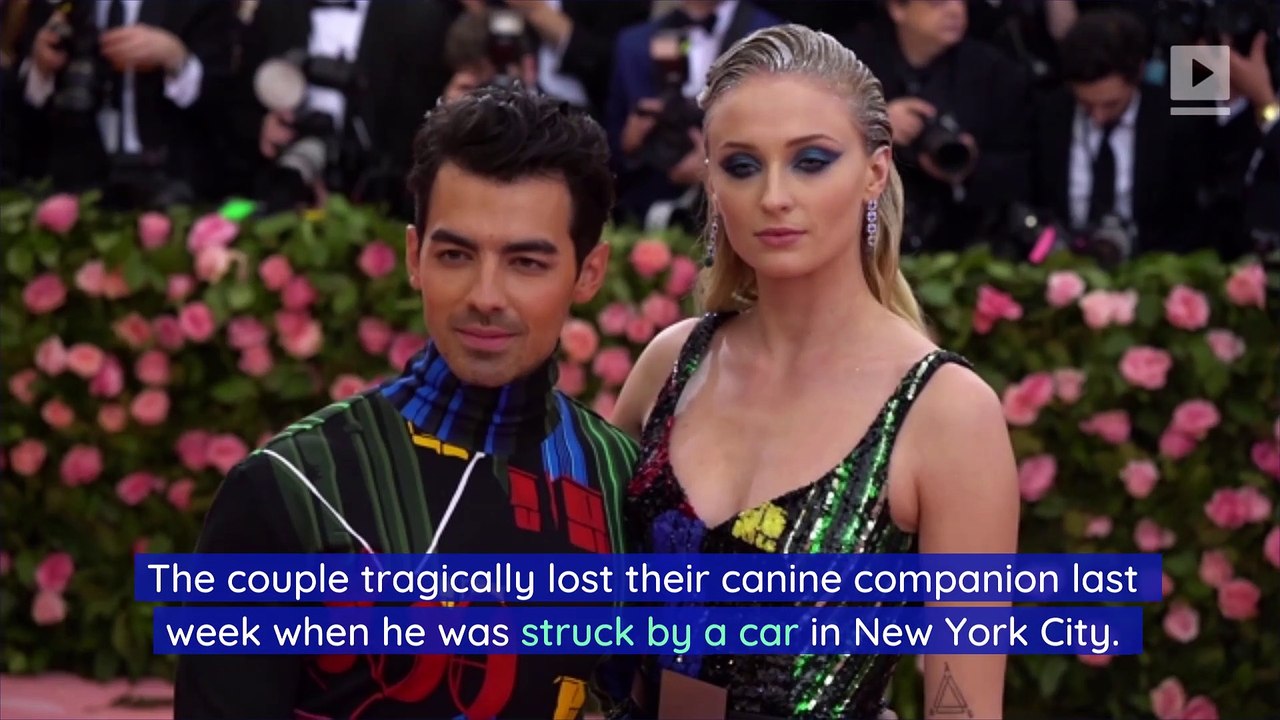 Sophie Turner and Joe Jonas Get Matching Tattoos in Honor of Late Dog