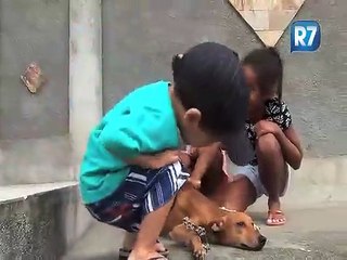 Cãozinho Feroz Fica Famoso Por Andar Apênas Com as Patinhas De Trás