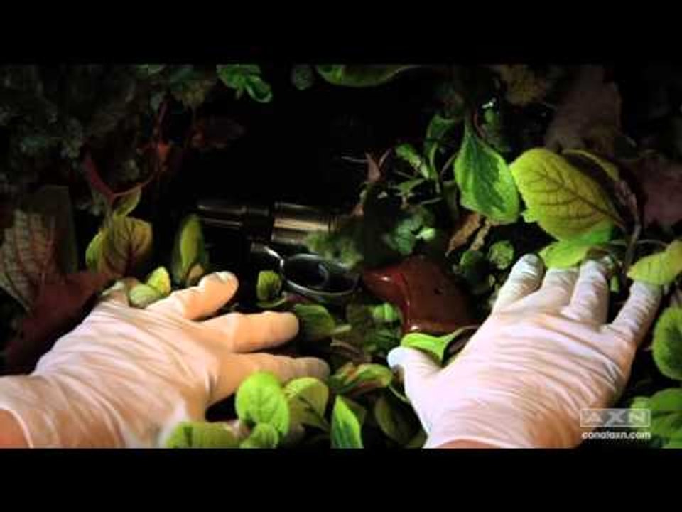 CSI T13 - Adelanto Ep. 05
