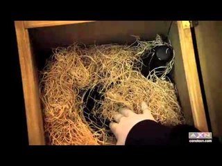 CSI T14 - Adelanto Ep. 05