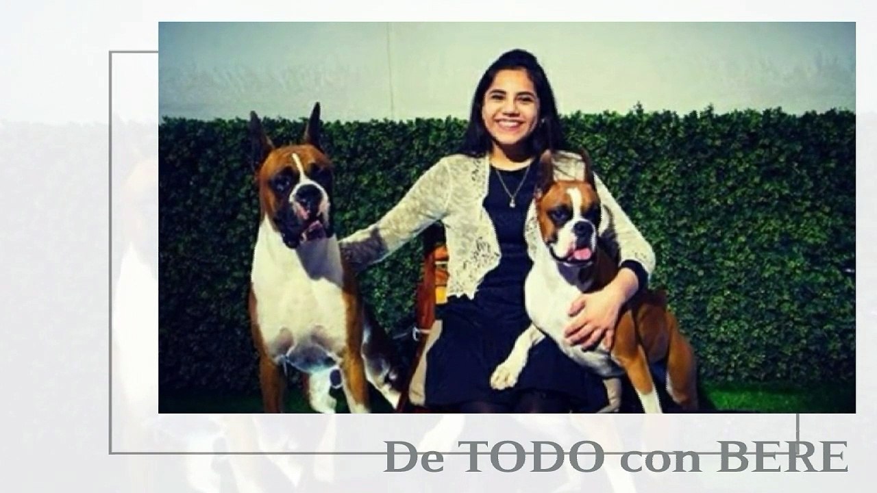 MEXICANA de 17 anos ENTRA a HARVARD