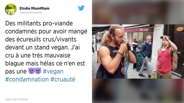 À Londres, deux militants pro viande condamnés pour avoir mangé des écureuils crus devant un marché vegan