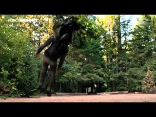 Once Upon a Time - Robin es capturado por un demonio