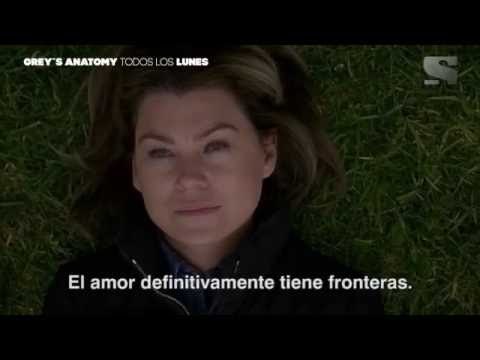 Grey´s Anatomy - Adelanto Final de Temporada