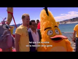 Angry Birds 2 - Cannes