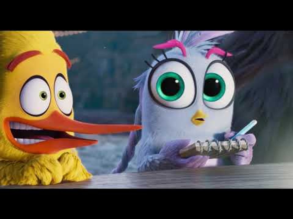 #CineSony - ANGRY BIRDS 2