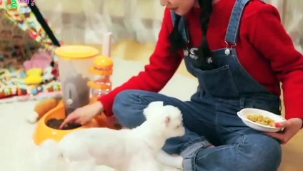 서구출장안마 -후불100%ョØ1ØA2997A5327｛카톡KC789｝ 서구전지역출장안마 서구오피걸 서구출장마사지 서구안마 서구출장마사지 서구콜걸샵лмн