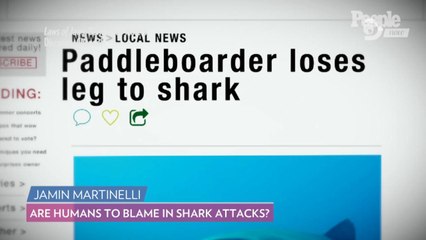 Are Humans to Blame in Shark Attacks? A Shark Expert Weighs In