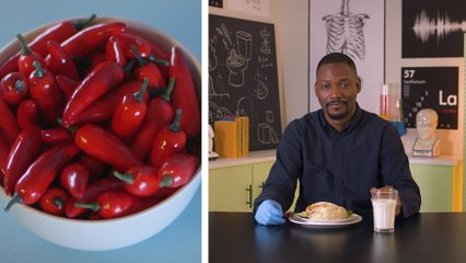 What Makes Spicy Foods Spicy?