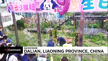 Детям — мороженое, панде — арбуз