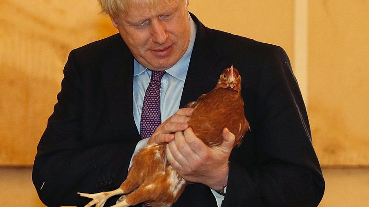 Ein 'Eiertanz': Boris Johnson auf Brexit-Werbetour in Wales