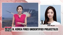 N. Korea fires multiple unidentified projectiles early Wed.