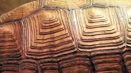 제천출장안마 -후불100%ョØ1ØA2997A5327｛카톡KC789｝ 제천전지역출장안마 제천오피걸 제천출장마사지 제천안마 제천출장마사지 제천콜걸샵ュユョ