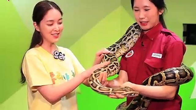 나주출장안마 -후불100%ョØ7ØA7575A0069｛카톡RD654｝ 나주전지역출장안마 나주오피걸 나주출장마사지 나주안마 나주출장마사지 나주콜걸샵んァア