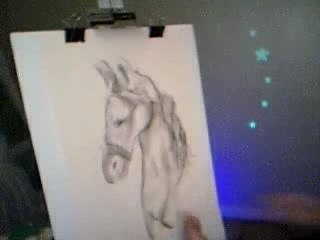 Horse drawn with feet