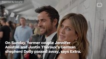 Jennifer Aniston & Justin Theroux Reunited To Say Farewell To Their Dog