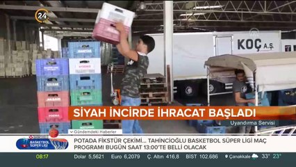 Taze siyah incirde ihracat hedefi 50 milyon dolar