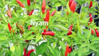 동탄출장안마 -후불100%ョ OiOE2659E1768｛카톡KP93｝ 동탄전지역출장안마 동탄오피걸 동탄출장마사지 동탄안마 동탄출장마사지 동탄콜걸샵œßþ