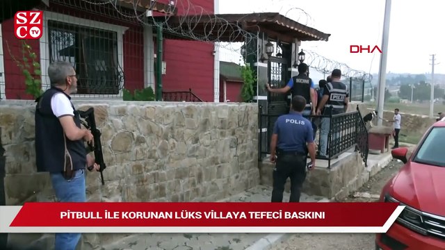 Çete liderinin pitbull cinsi köpeklerle koruduğu villaya polis baskını