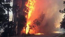 Brush fire engulfs park in north-western Los Angeles