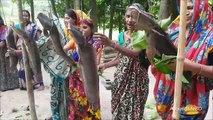 60 KG African Catfish Cutting & Cooking Fish With Rice Curry By Women To Feed Whole Village Peoples