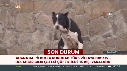 Adana'da pitbulla korunan lüks villaya baskın
