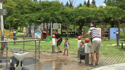 전국이 '후끈후끈'...대전·세종 폭염 경보 / YTN
