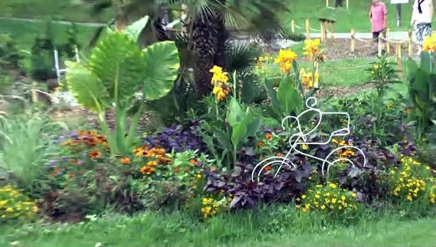 LES PROMENADES DE MICHOU W-D.D. - 28 JUILLET 2019 - VENEZ DÉCOUVRIR LE JARDIN EXTRAORDINAIRE PRÈS DE LA GARE DU FUNICULAIRE