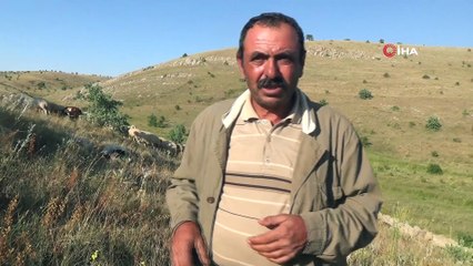 Dere yatağında sıkışan 265 koyun telef oldu