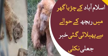 The Bear Cub at Islamabad Zoo is healthy and OK