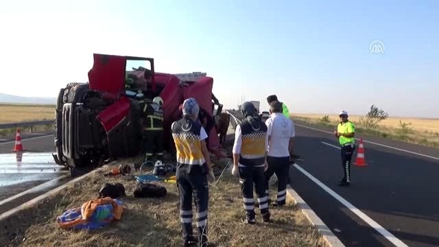 Büyükbaş hayvan yüklü tır devrildi