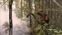 Varios incendios arrasan millones de hectáreas de bosque en Siberia