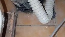 VID_20190707_234620