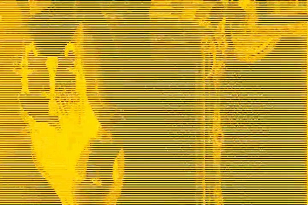 MVGEN: Darth Travis : Haunted House