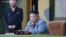 Corea del Nord: altri due missili lanciati a est