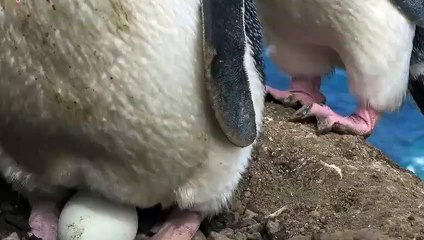 서울출장안마 -후불100%ョO7OW7333W9649｛카톡LGT010｝ 서울전지역출장안마 서울오피걸 서울출장마사지 서울안마 서울출장마사지 서울콜걸샵★●◎