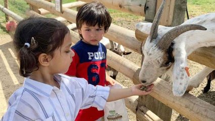 Taimur Ali Khan stares his best friend Kainaat Singh in this VIRAL picture | FilmiBeat