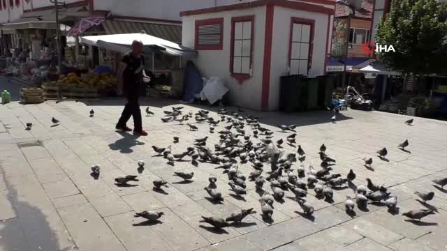 Sıcaktan bunalan güvercinler süs havuzunda serinliyor