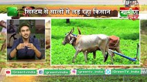 किसान ने ढूंढा वाटर रिचार्ज का नया तरीका - Kisan Bulletin 31 July 2019 | Grameen News