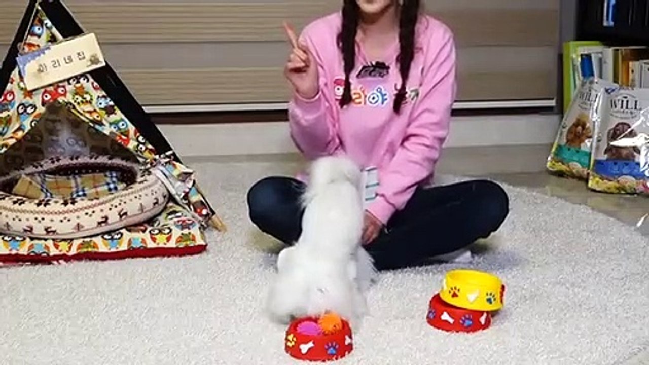 덕양구출장안마 -후불100%ョOiOE7362E3210｛카톡VR91｝ 덕양구전지역출장안마 덕양구오피걸 덕양구출장마사지 덕양구안마 덕양구출장마사지 덕양구콜걸샵いぅう