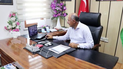 Descargar video: Taşköprü sarımsağında hasat sona erdi - KASTAMONU