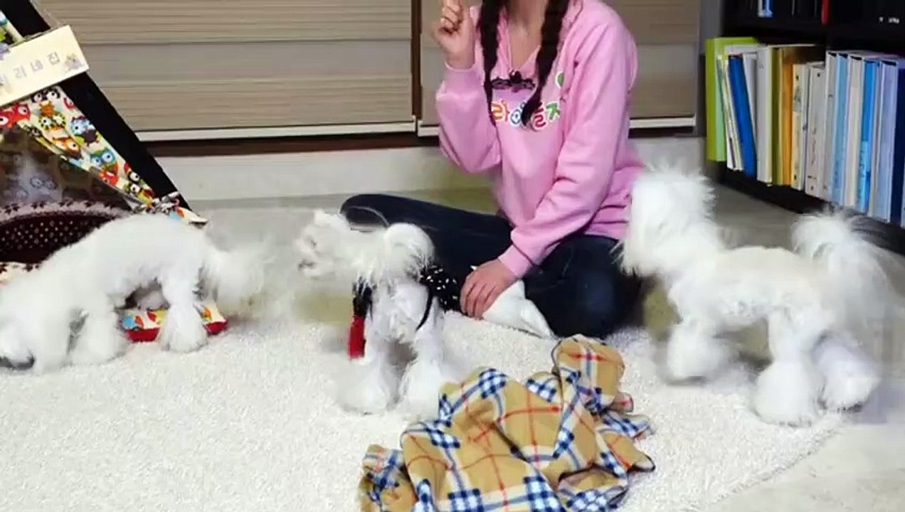 아산출장안마 -후불100%ョO7OW7301W9649｛카톡LA666｝ 아산전지역출장안마 아산오피걸 아산출장마사지 아산안마 아산출장마사지 아산콜걸샵▨¶