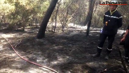 Gard : l'incendie est fixé, 488 hectares brûlés
