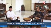 Manuver PAN, Koalisi Rasa Oposisi