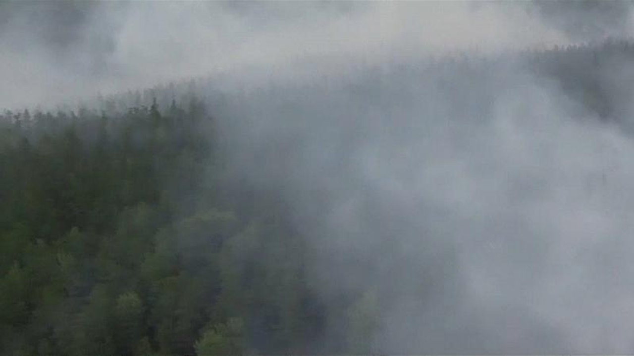 Waldbrände in Russland: Bürger fordern entschiedenes Vorgehen